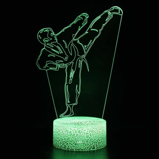 Taekwondo 3D lampe med 16 lysfarver - dæmpbar